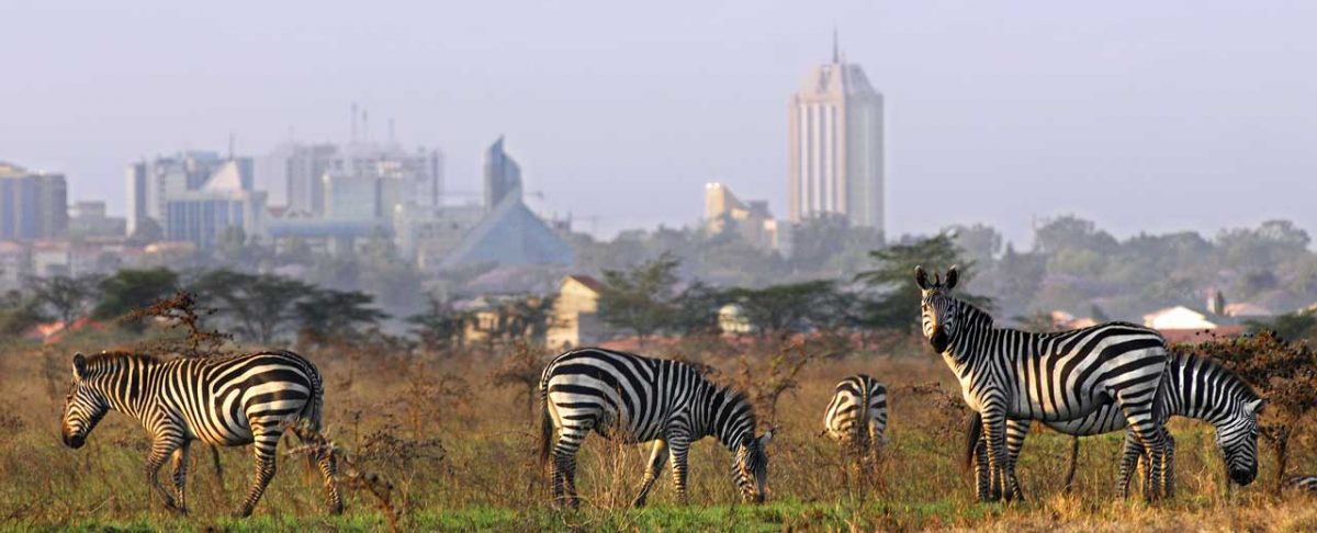 Welcome to Silole Sanctuary Nairobi National Park Blog